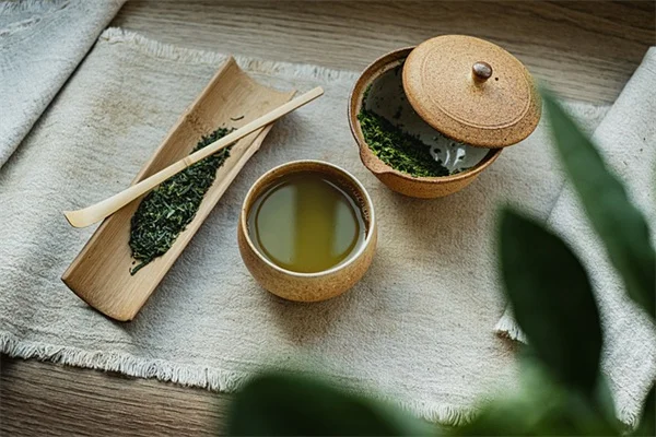 バレンタインに鉢植えを贈る理由と愛情を伝える観葉植物10選