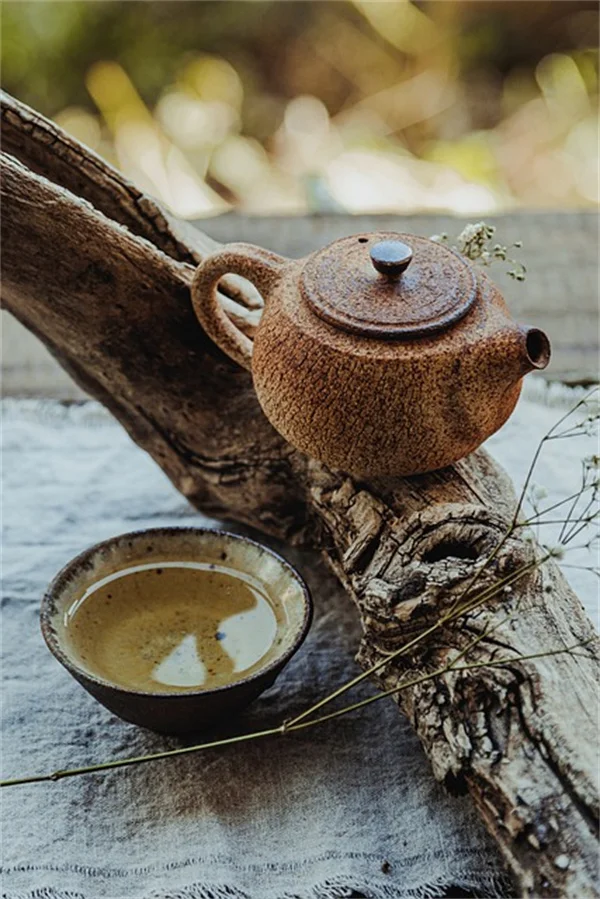 冬の凍結対策は砂でOK！植物とペットに優しい滑り止め術