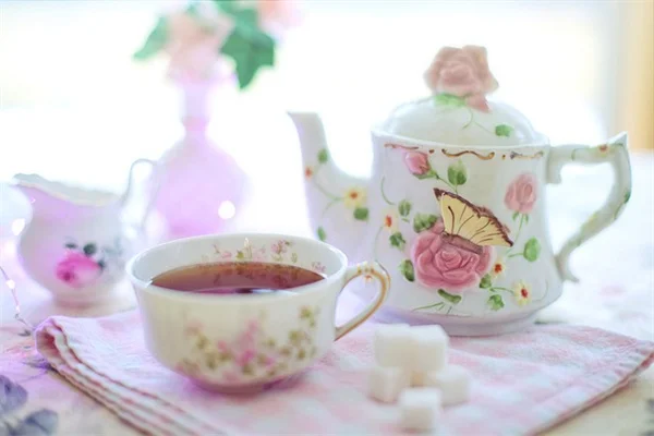 7月の芝生、短く刈ると失敗する理由と5つの正しい管理法