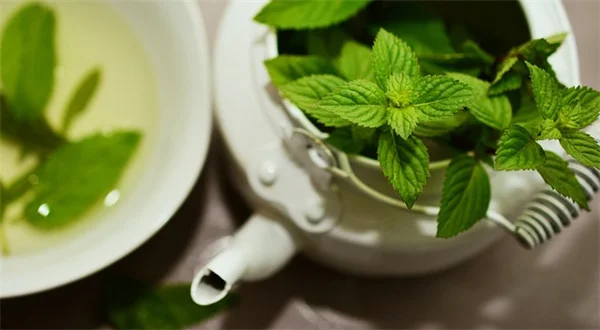 雑草抑制植物8選！植えっぱなしで効果的な多年草を試してみた
