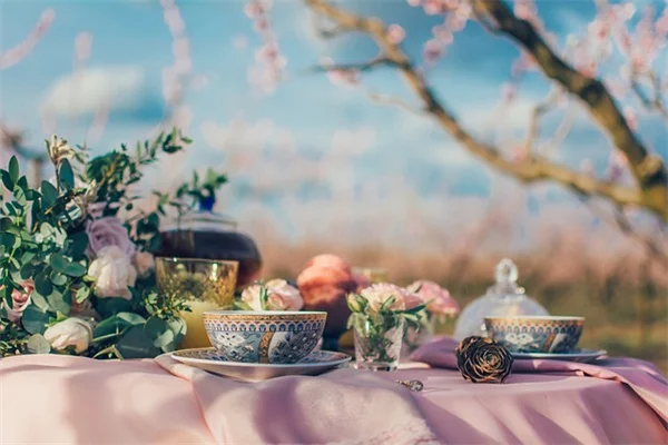 もう迷わない！成長が早くて暴れない、おすすめつる植物7選