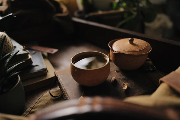 白色多年生植物おすすめ10選と育て方のコツ