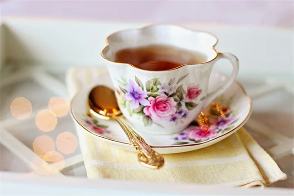 植物の知性はどこまで？実験でわかった3つの事実